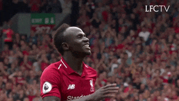 football soccer GIF by Liverpool FC