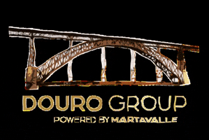 grupomartavalle marta valle martavalle douro group GIF