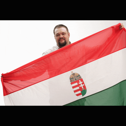 Valasztas Politikus GIF by Jobbik Magyarországért Mozgalom