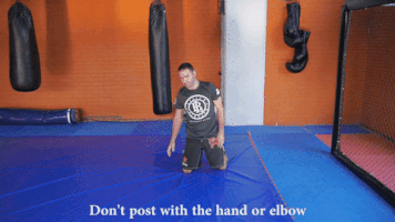 Animated GIF