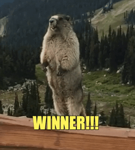 Winner Marmot GIF