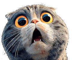Cat Shock Sticker