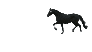 Horse Hengst Sticker by Toetti