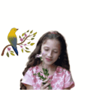 GIF by Travel Chicks