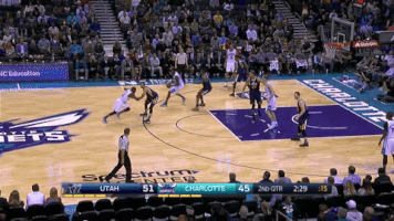 fazzettino  GIF