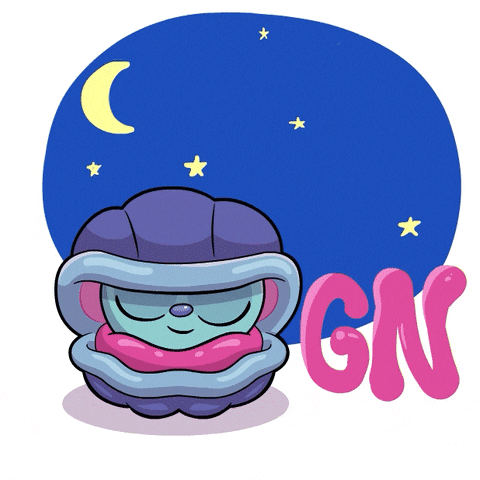 Night Sleep GIF by GaryVee