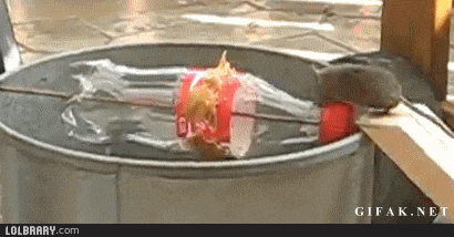 Plastic Bucket GIFs - Get the best GIF on GIPHY