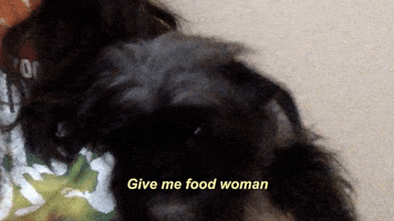 victoria-schwartz  GIF