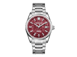 Performance Watches Sticker by World of Quantum