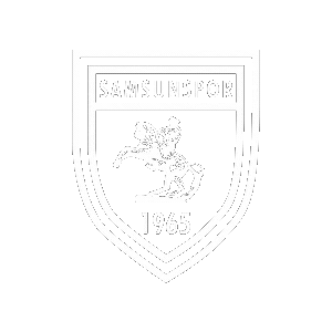 YILPORT SAMSUNSPOR Sticker