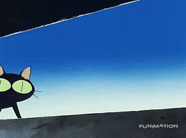 Black Cat GIF by Funimation