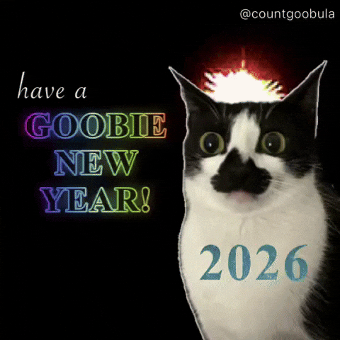 New Year Cat GIF