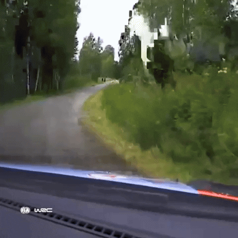 Crash Fail GIF by FIA World Rally Championship