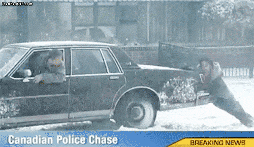 Canadian Police Chase GIFs - Get the best GIF on GIPHY