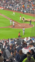 Los Angeles Dodgers Sport GIF by Trevor Bauer - Find & Share on