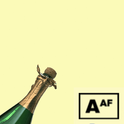 Champagne Celebrate GIF by Abortion Access Front