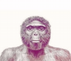 Monkey Trend GIF