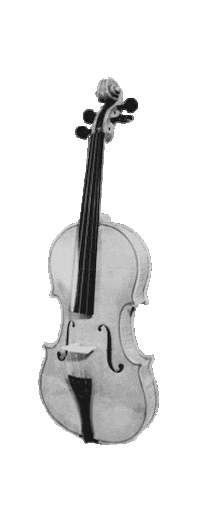 Fun Violin Sticker by premiertone