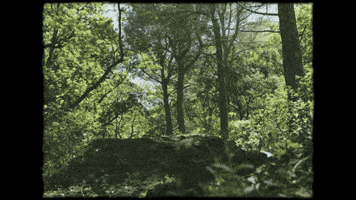 Off Road Motorbike GIF by Sherco Korea