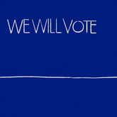We Will Vote, We Will Count Every Vote, They Will Cause Chaos