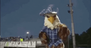 thehubbardeagle mascot cowboy eagle nose GIF