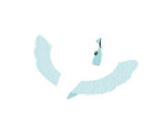 Bird Shine Sticker