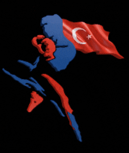 Savate GIF by kibaroglusportgym