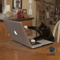 pusheen cat computer gif