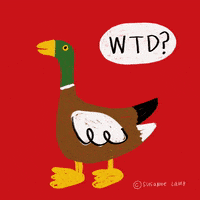 Excuse Me Wtf GIF by Susanne Lamb