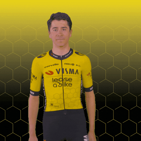 Tvl GIF by Team Visma | Lease a Bike