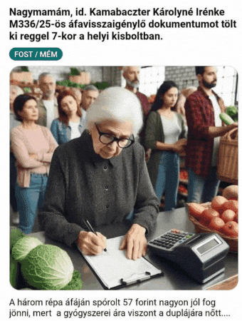 Nagymamam Afavisszaigenylo Dokumnetumot Tolt Ki Reggel A Helyi Kisboltban GIF