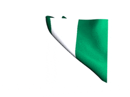 flag nigeria GIF