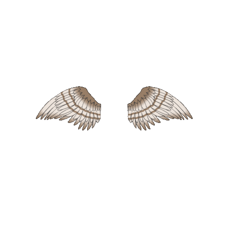 Wings Osprey Sticker by Stockton University