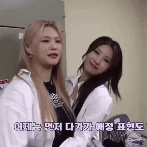 Swan Hug GIF