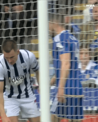 West Brom Championship GIF by West Bromwich Albion