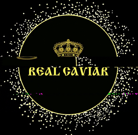 RealCaviarBarcelona love passion caviar beluga GIF