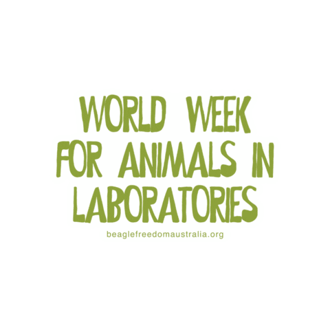 Beagle Freedom Australia Sticker