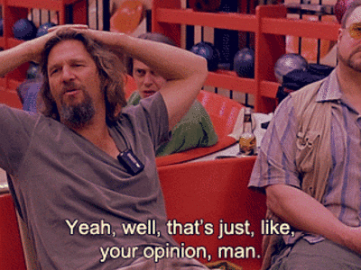 the dude your opinion GIF