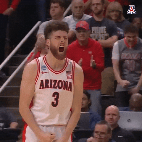 Yell Lets Go GIF by Arizona Athletics