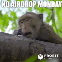 200.gif?cid=fc005b0874b5f537c40991d62e1adee860bdf440f5670856&rid=200.gif&ct=g