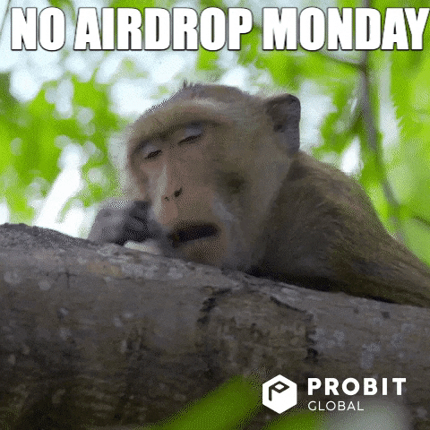 Bitcoin Monkey GIF by ProBit Global