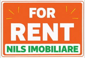 NILS Imobiliare GIF