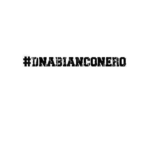 Pallavolo Padova Sticker