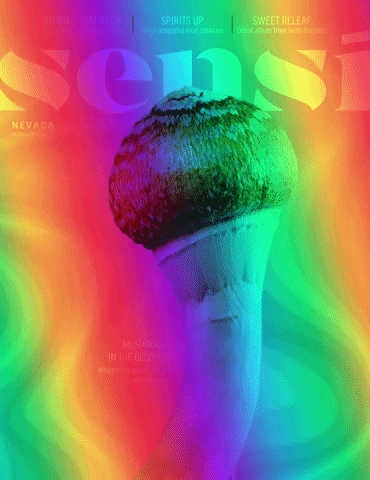 sensimag psychedelic style high lifestyle GIF