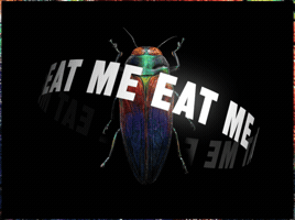 Hungry GIF