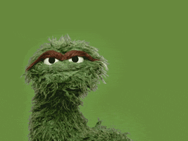 Who Knows Idk GIF by Sesame Street
