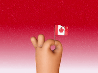 Canadian-flag GIFs - Get the best GIF on GIPHY Canadian-flag GIFs - Get the best GIF on GIPHY