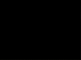 New Year Новый Год GIF