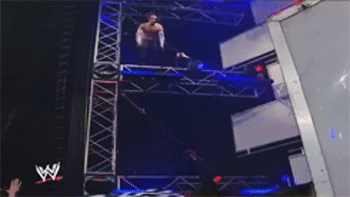 world wrestling entertainment