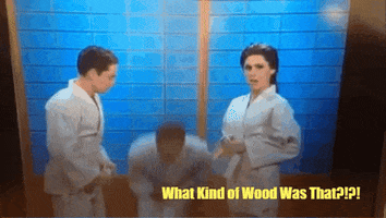 Snl GIF